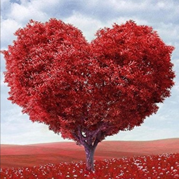 Meet your Posher, Nina - Picture 1 of 5